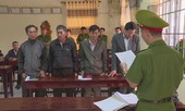Tin mới vụ dàn lãnh đạo công ty lâm nghiệp 'xộ khám' vì mất rừng