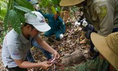 Sinh kế bền vững từ Trường Sơn Xanh