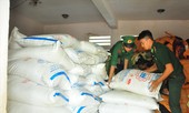 Ðường ngoại 'bóp chết' đường nội
