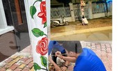 Cột điện 'nở hoa' nhờ bàn tay khéo léo của đoàn viên