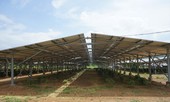 Bát nháo điện mặt trời