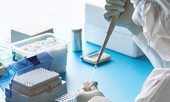 Sau khi tiêm vào người, vắcxin COVID-19 hoạt động như thế nào?