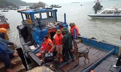 Quảng Nam: Tàu chở hàng bục khoang máy, 10 thuyền viên thoát chết
