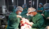 Nối bàn chân bị đứt lìa của người đàn ông 50 tuổi nhờ kích hoạt báo động đỏ