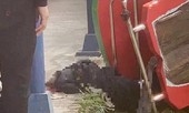 Ông nội của nam sinh tử vong vì tàu lượn siêu tốc trượt đường ray: 'Chưa đoạn tang con lại mất cháu...'