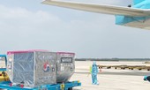 Lô vắc xin ngừa COVID-19 đầu tiên đã về tới Việt Nam