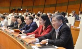 Không đưa vào danh sách hiệp thương người có tín nhiệm dưới 50%, 'trường hợp đặc biệt' phải báo cáo