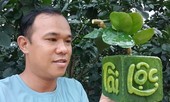 Độc đáo quả bưởi nổi chữ may mắn hút khách
