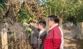 Dự án nghĩa trang gần ĐH Tây Bắc: Bộ GD&ĐT đề nghị UBND tỉnh Sơn La đánh giá tác động toàn diện