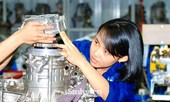 4 cơ sở giáo dục đại học Việt Nam lọt bảng xếp hạng thế giới của QS