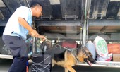 Đề nghị thu hồi 'khẩn' tiền hoàn thuế hàng trăm tỷ của hai doanh nghiệp phía Nam