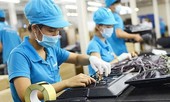 Bộ Tài chính ‘thúc’ Hà Nội, TP.HCM khẩn trương cổ phần hóa, thoái vốn