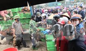 Người dân Hà Nội xếp hàng 'rồng rắn' giải cứu gà đồi Chí Linh