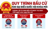 Quy trình bầu cử 500 đại biểu Quốc hội khóa mới