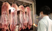 Xuyên đêm lấy mẫu kiểm tra thực phẩm