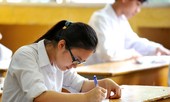 Phân tích chuyên đề cơ chế di truyền ở cấp độ phân tử