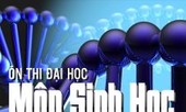 Ôn thi đại học môn Sinh: Đột biến gen