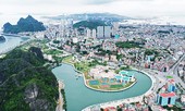 Tỉnh nào có nhiều thành phố trực thuộc nhất hiện nay?