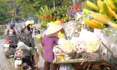 Hoa tươi sau Tết ở Hà Nội rớt giá thê thảm chưa từng thấy