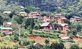 Tháo dỡ 12 căn nhà kiên cố tại ngôi làng 'mọc' chui trên đất rừng