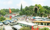 Thành phố 'không đèn giao thông' muốn lắp đèn đỏ