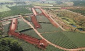 Bảo Lộc thành ‘điểm nóng’ đất đai, Chủ tịch, nguyên Chủ tịch thành phố bị thanh tra