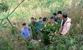 Đắk Nông: Săn thú rừng bắn nhầm chết người