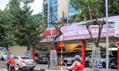 Số phận 7 cây sưa ‘bạc tỷ’ chết khô trên đường Nguyễn Văn Huyên ra sao?