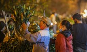 Chợ hoa lớn nhất Hà Nội tấp nập trước ngày 8/3