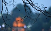 Miền Bắc âm u, mưa rét trước khi gió mùa về