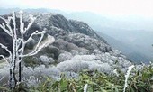 Rét đậm rét hại đến bao giờ?