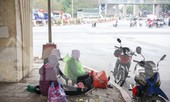 Lao động tự do nhọc nhằn mưu sinh những ngày đầu năm