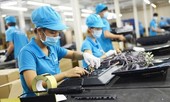Gói hỗ trợ lần 2, Bộ Lao động, Thương binh và Xã hội đề xuất gì?