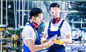 Trả lương ngàn đô la, doanh nghiệp vẫn 'đỏ mắt' tìm lao động