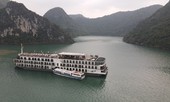Du lịch xoay xở trước bờ vực