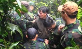 Cuộc chiến trong rừng thẳm: Nay chơi, mai chết