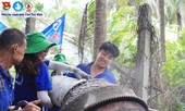 Tuổi trẻ của bạn và Đoàn: 'Quả ngọt' thời sinh viên