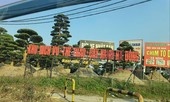'Xẻ thịt' công viên cho thuê giá 'bèo'