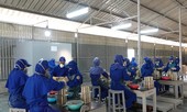 Tận thấy nơi sản xuất pháo hoa của Quân đội cung ứng ra thị trường