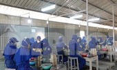 Tận thấy nơi sản xuất pháo hoa của Quân đội cung ứng ra thị trường