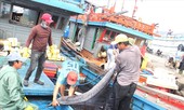 Chuyến biển tất niên