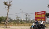 Cò lại thổi giá đất Đà Nẵng