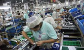 Nông nghiệp hướng đến xuất khẩu đạt 44 tỷ USD