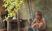 Thất vọng Cậu Vàng