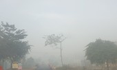 Sương mù dày đặc, người dân Đắk Lắk bật đèn 'dò dẫm' giữa ban ngày