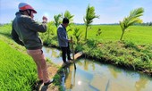 Đắk Lắk: Dân vét nước tưới bên kênh thủy lợi chục tỷ bỏ hoang