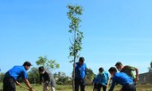 Đắk Lắk: Nhiều hoạt động ý nghĩa trong ngày khởi động Tháng Thanh niên