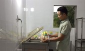 Gà đồi sinh học và thương hiệu Nhị Nguyễn