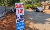 Sốt giá đất ở Bình Phước: 'Cò' đi đến đâu giá lên ở đó
