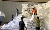 “Chấm điểm” doanh nghiệp đấu thầu cấp gạo dự trữ quốc gia